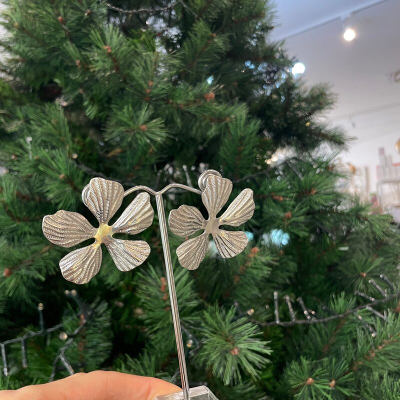 Orecchini in acciaio (color argento)