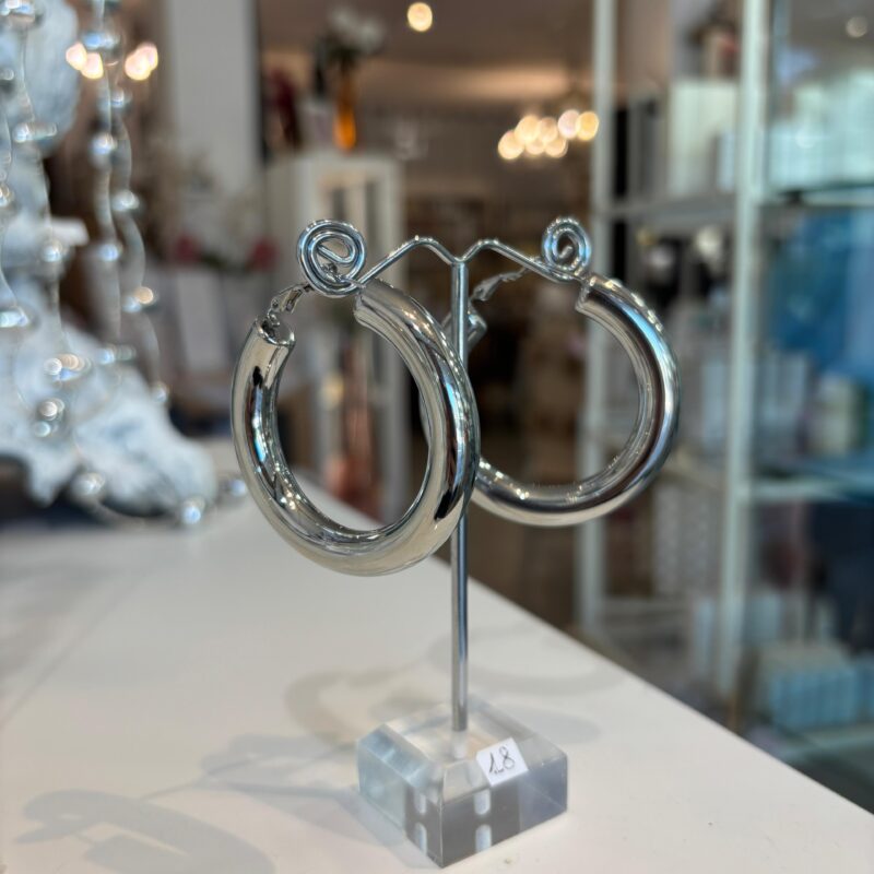 Orecchini in acciaio (color argento)