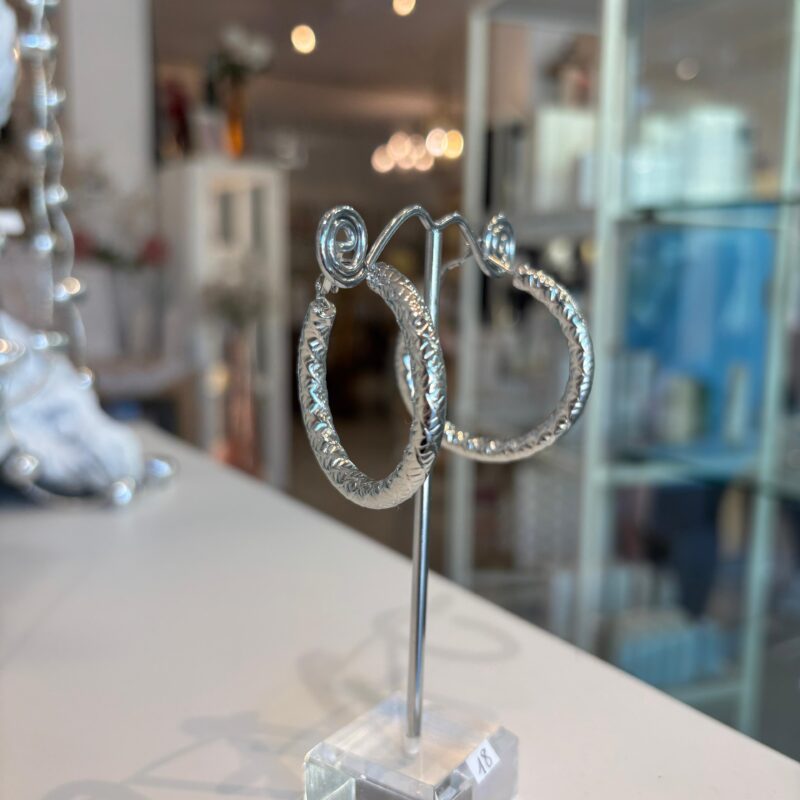 Orecchino in acciaio (color argento)